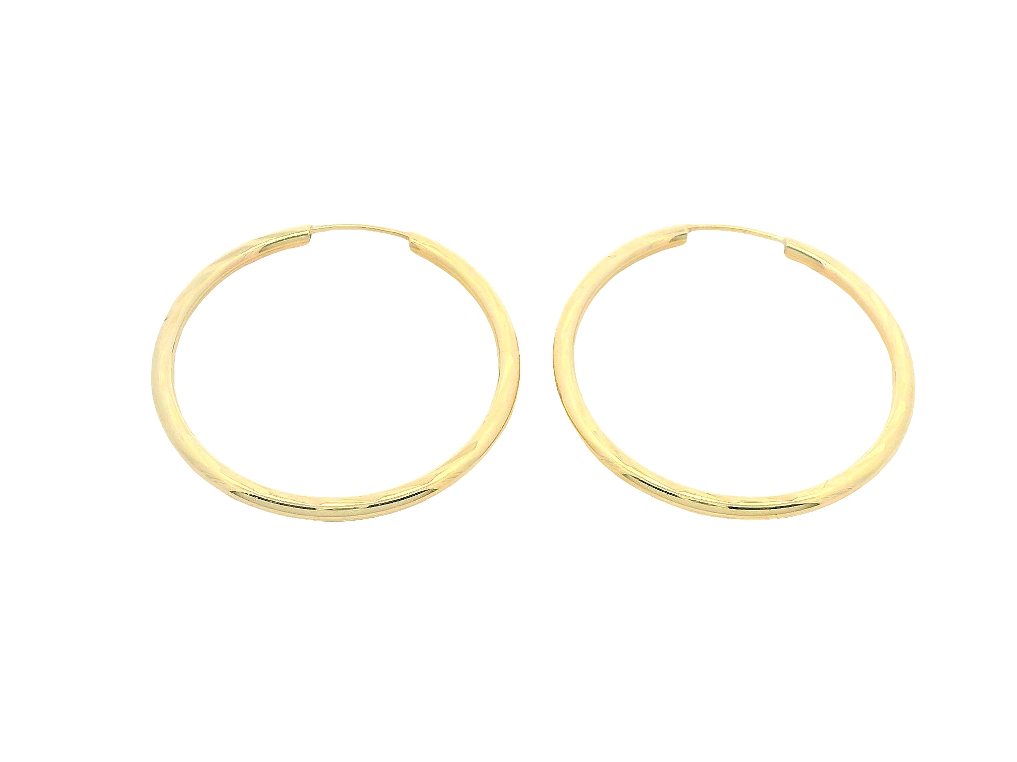 Faceted Sleeper Hoop Earrings