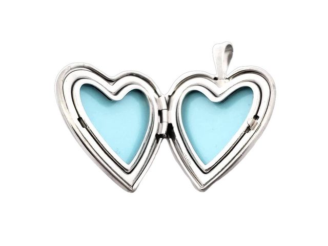 Silver and Steel Locket