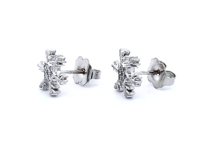 Snowflake Earrings
