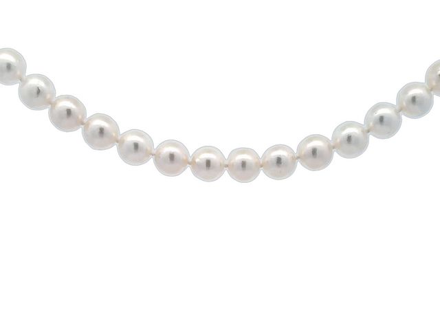 Akoya Pearl Strand With 18kt Clasp