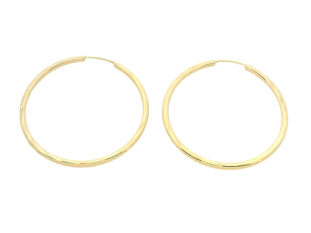 Faceted Sleeper Hoop Earrings