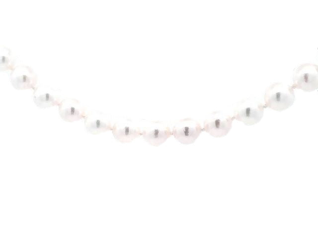 14kt Akoya 8-8.5mm Strand