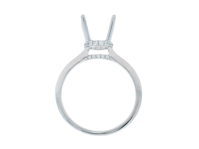 Plstinum Hidden Halo Mount