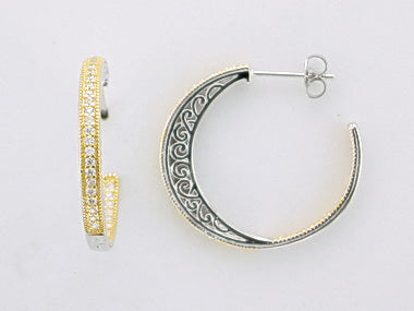 Fancy Earrings with Gold Plate