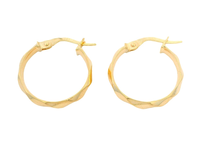 Faceted Hoop Earrings