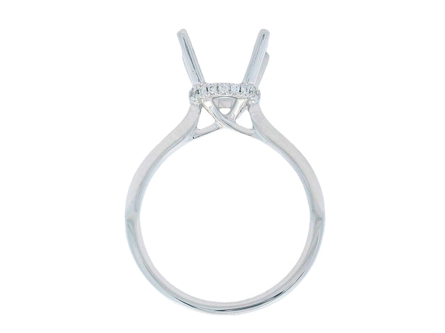 Platinum Mount with Hidden Halo