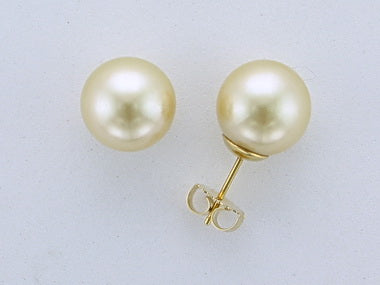South Sea Golden Pearl Studs