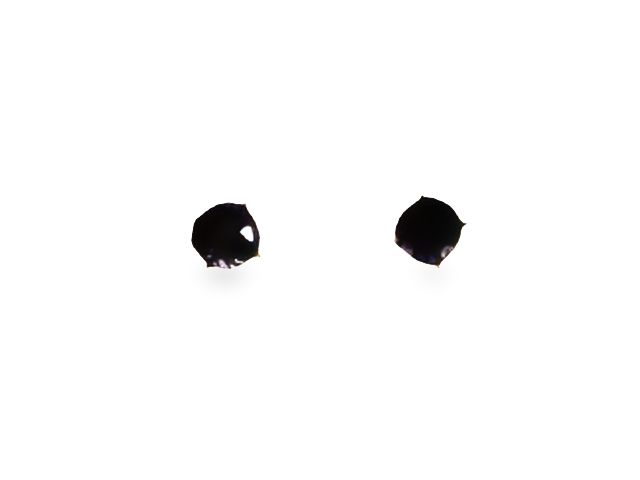 Iolite Stud Earrings