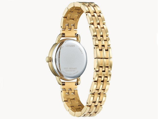 Ladies Eco Drive with Silver D