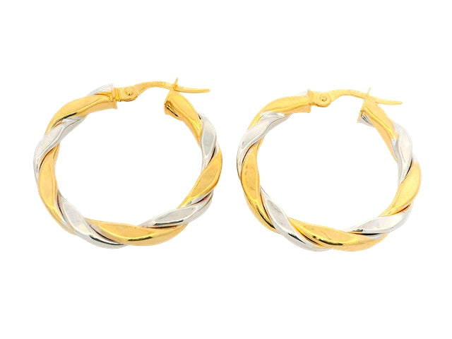 10KT Two Tone Earrings