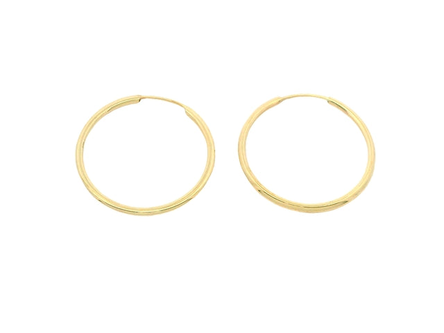20 mm Sleeper Hoop Earrings